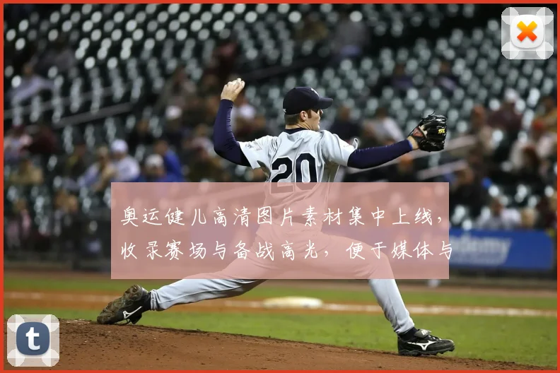 奥运健儿高清图片素材集中上线，收录赛场与备战高光，便于媒体与设计用途