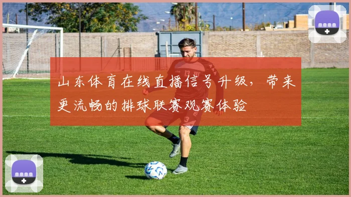 山东体育在线直播信号升级,带来更流畅的排球联赛观赛体验