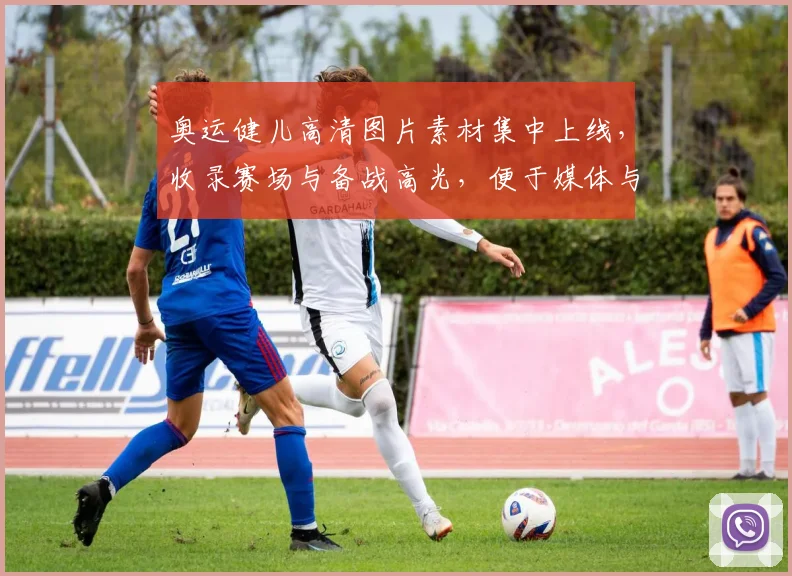 奥运健儿高清图片素材集中上线，收录赛场与备战高光，便于媒体与设计用途