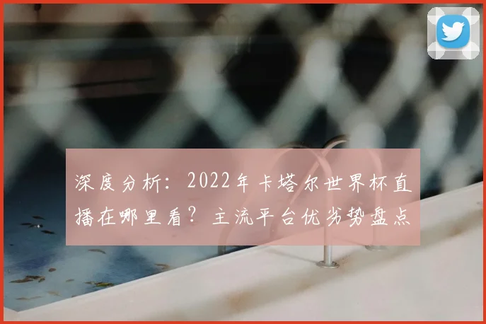 深度分析:2022年卡塔尔世界杯直播在哪里看?主流平台优劣势盘点