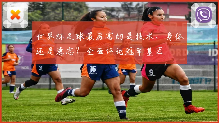 世界杯足球最厉害的是技术、身体还是意志？全面评论冠军基因
