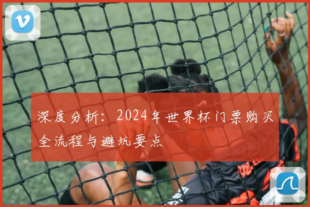深度分析:2024年世界杯门票购买全流程与避坑要点
