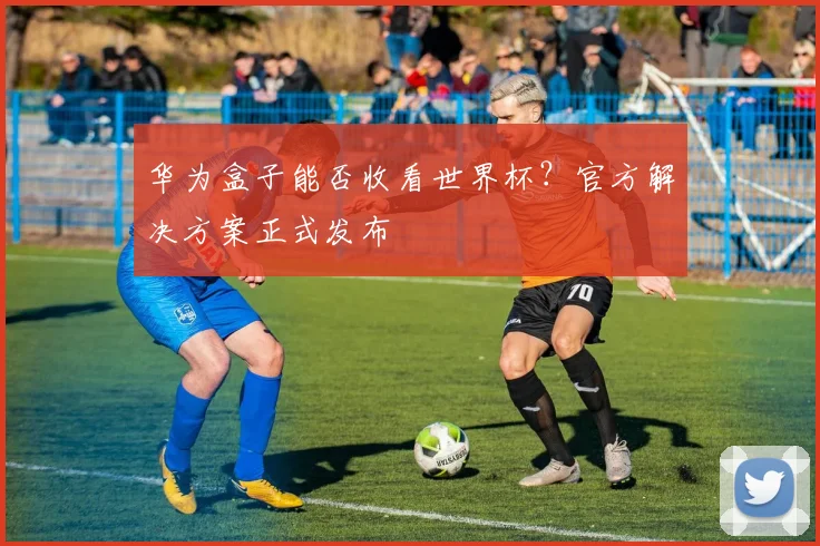 华为盒子能否收看世界杯?官方解决方案正式发布